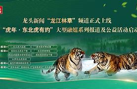 黑龙江日报龙腾新闻客户端哈尔滨生活报今日报纸电子版官网