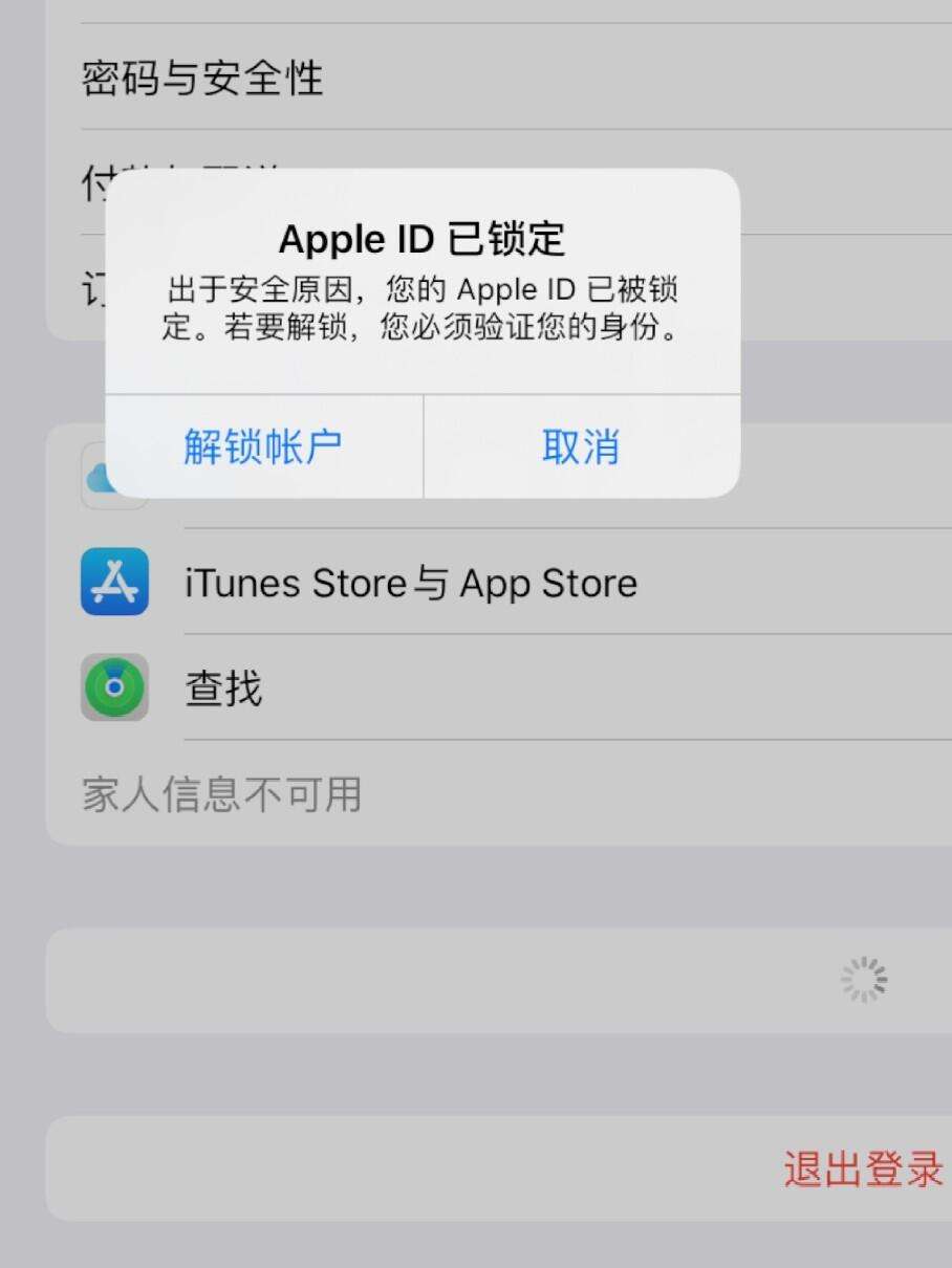 未验证版苹果id怎么短信验证登录苹果id-第2张图片-太平洋在线下载