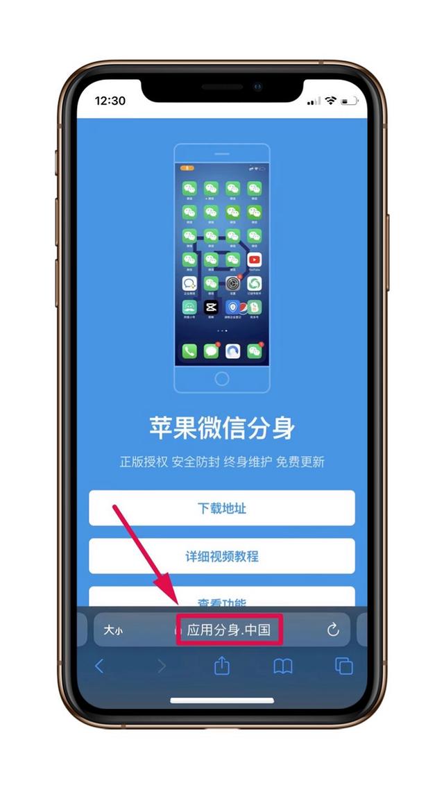 苹果vx分身版苹果应用分身免费版下载