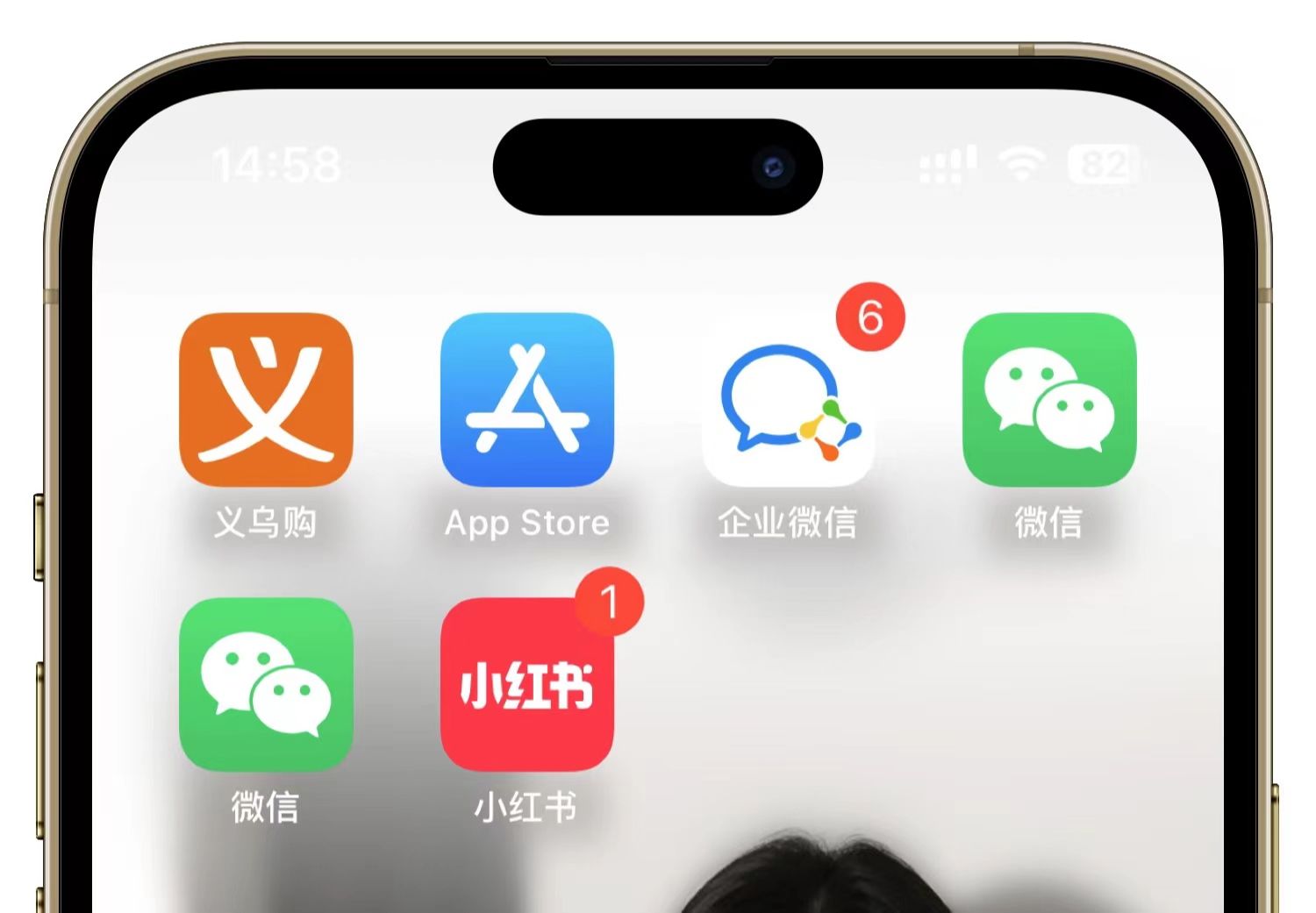 苹果vx分身版苹果应用分身免费版下载-第2张图片-太平洋在线下载