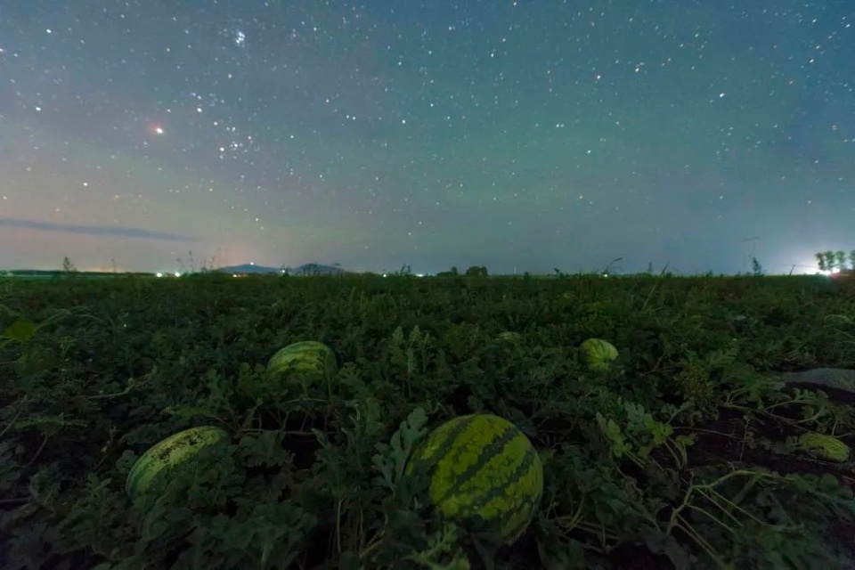 苹果版繁星挂手游模拟器苹果版