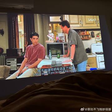 曹某的客户端植物大战僵尸nc版下载电脑版