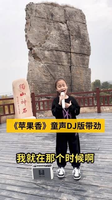 苹果录制模板dj版苹果手机录屏怎么只录系统声音