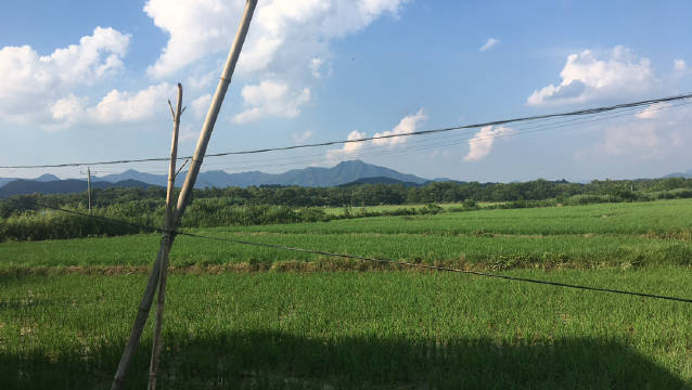 青阳客户端青阳宝镁招聘信息